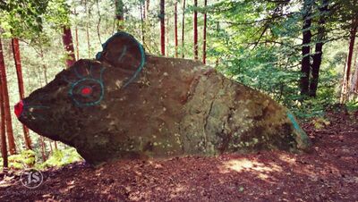 Der Burgwald