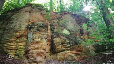 Der Burgwald