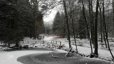 Der Burgwald