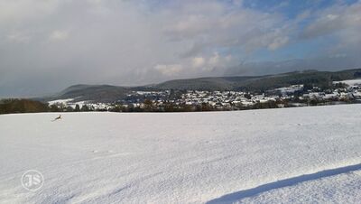 Der Burgwald